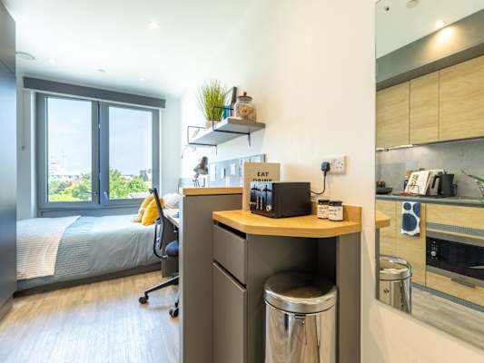 Silver Studio room type